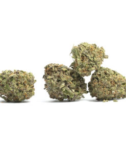 Destino Farms Chimera 3.5g Exotic Flower