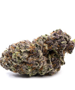 Destino Farms Trop Cherry 3.5g Exotic Flower