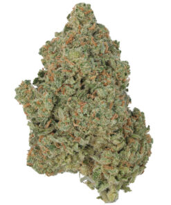 Destino Farms Guava Cookies 3.5g Exotic Flower