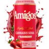 Amigos Strawberry Highly Crafted Cannabis Soda 50mg