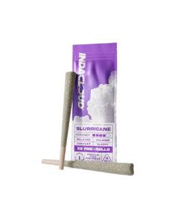 IndaCloud Slurricane 1g Pre-Rolls 2pk