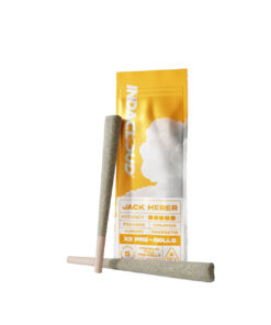 IndaCloud Jack Herer 1g Pre-Rolls 2pk