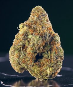 Destino Farms Pink Runtz 3.5g Exotic Flower