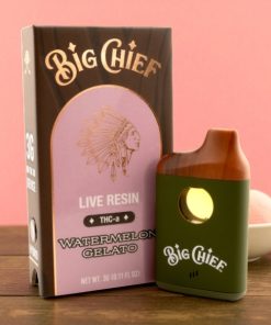 Big Chief Watermelon Gelato 3g Disposable Vape