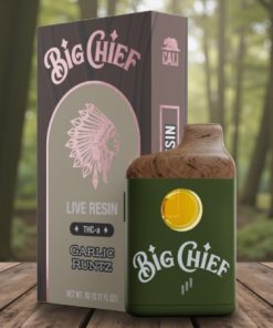 Big Chief Garlic Runtz 3g Disposable Vape