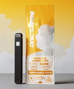 IndaCloud Banana Sherbert 1g Disposable Vape