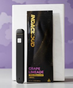 IndaCloud Grape Limeade 1g Disposable Vape
