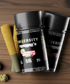 Trap University Lemon Cherry Gelato Freshman's Pre-Rolls 5pk/3.5g