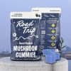 Road Trip Desert Stardust Bluerazz Mushroom Gummies 8pk