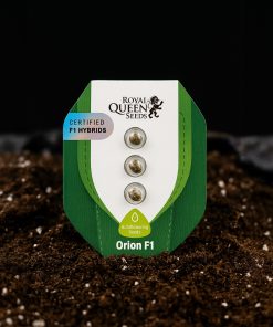 Royal Queen Seeds Orion F1 Autoflower 3pk