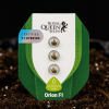 Royal Queen Seeds Orion F1 Autoflower 3pk