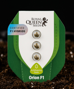 Royal Queen Seeds Orion F1 Autoflower 3pk