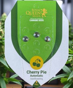 Royal Queen Seeds Cherry Pie Autoflower 3pk