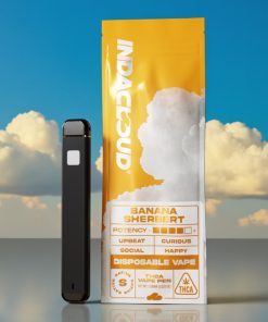 IndaCloud Banana Sherbert 1g Disposable Vape