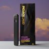 IndaCloud Grape Limeade 1g Disposable Vape