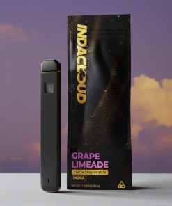IndaCloud Grape Limeade 1g Disposable Vape