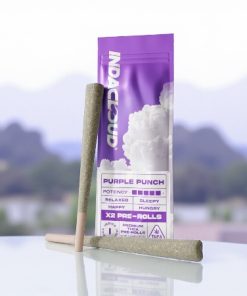 IndaCloud Purple Punch 1g Pre-Rolls 2pk