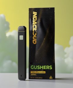 IndaCloud Gushers 1g Disposable Vape