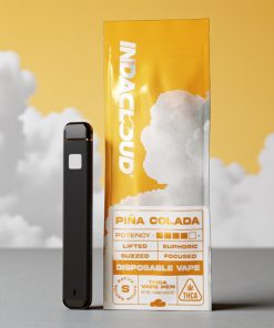 IndaCloud Piña Colada 1g Disposable Vape