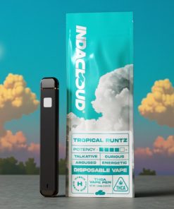 IndaCloud Tropical Runtz 1g Disposable Vape