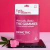 Erth Wellness Watermelon Zkittles 300mg Gummies