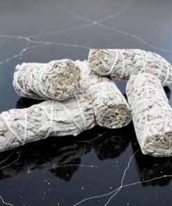 White Sage Smudge Stick