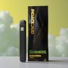 IndaCloud Gushers 1g Disposable Vape