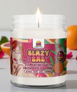 Modest & Co Blazy Bae Odor Eliminator Candle 9oz