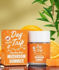 Road Trip Microdosed Carpe Diem Orange Mushroom Gummies | 20pk