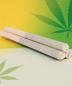 House Blend Premium 1g Pre-Roll